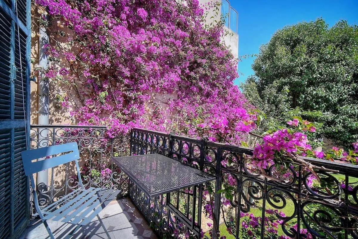 Studio Paulette Mezzanine - 500M From The Beach Канны